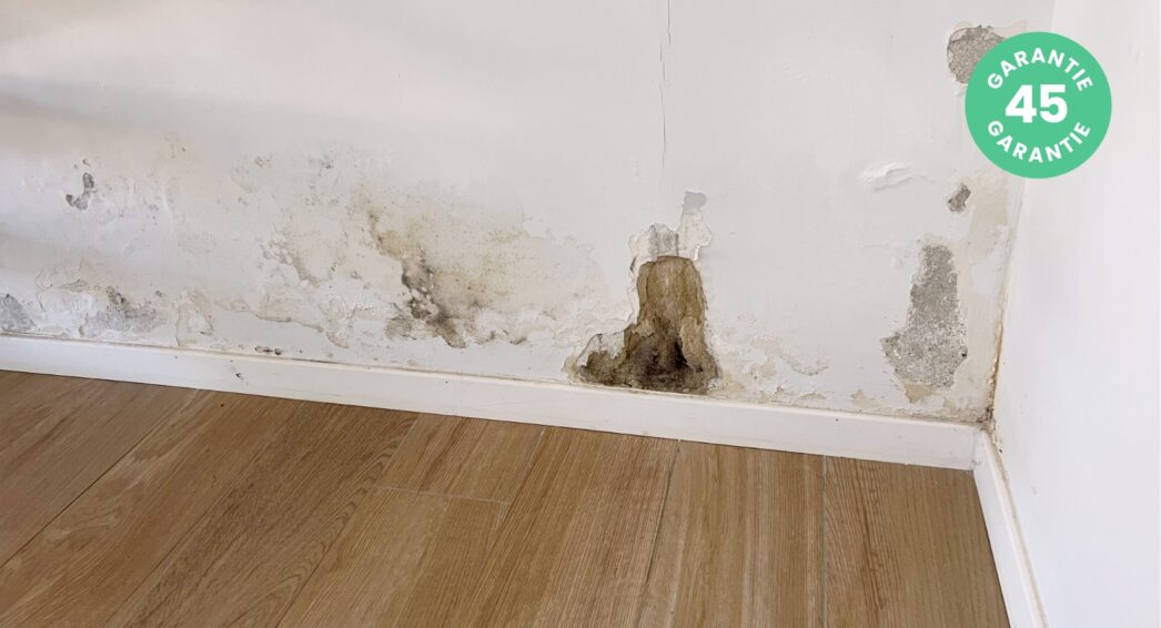 Humidité ascensionnelle