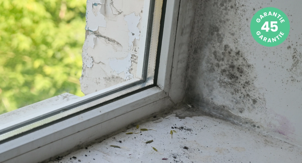 Condensation et moisissures