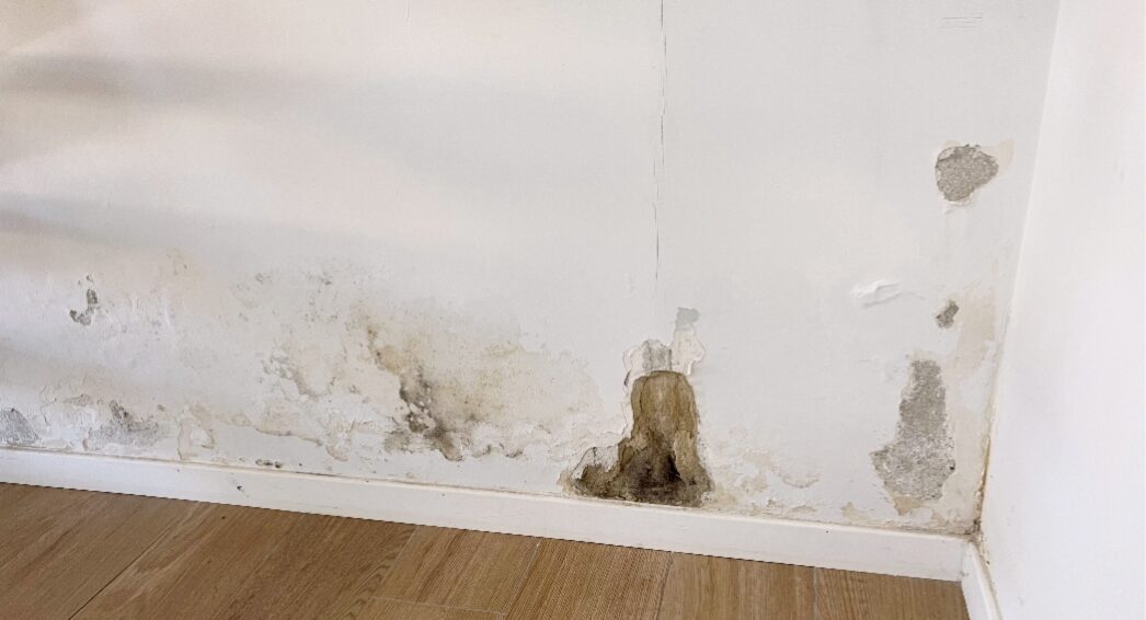 Humidité ascensionnelle