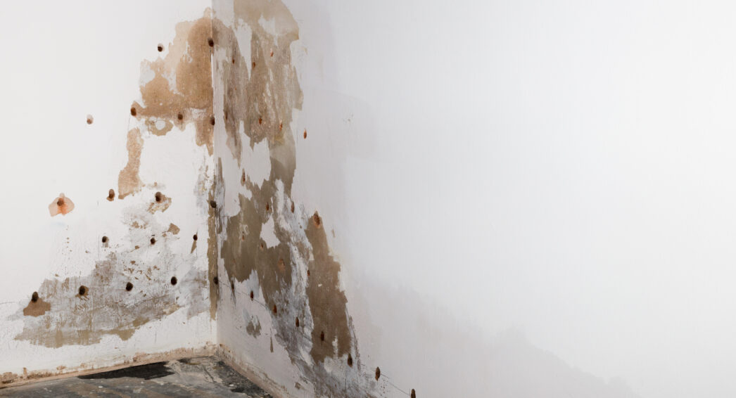 Mur de cave présentant des traces d’humidité et enduit dégradé