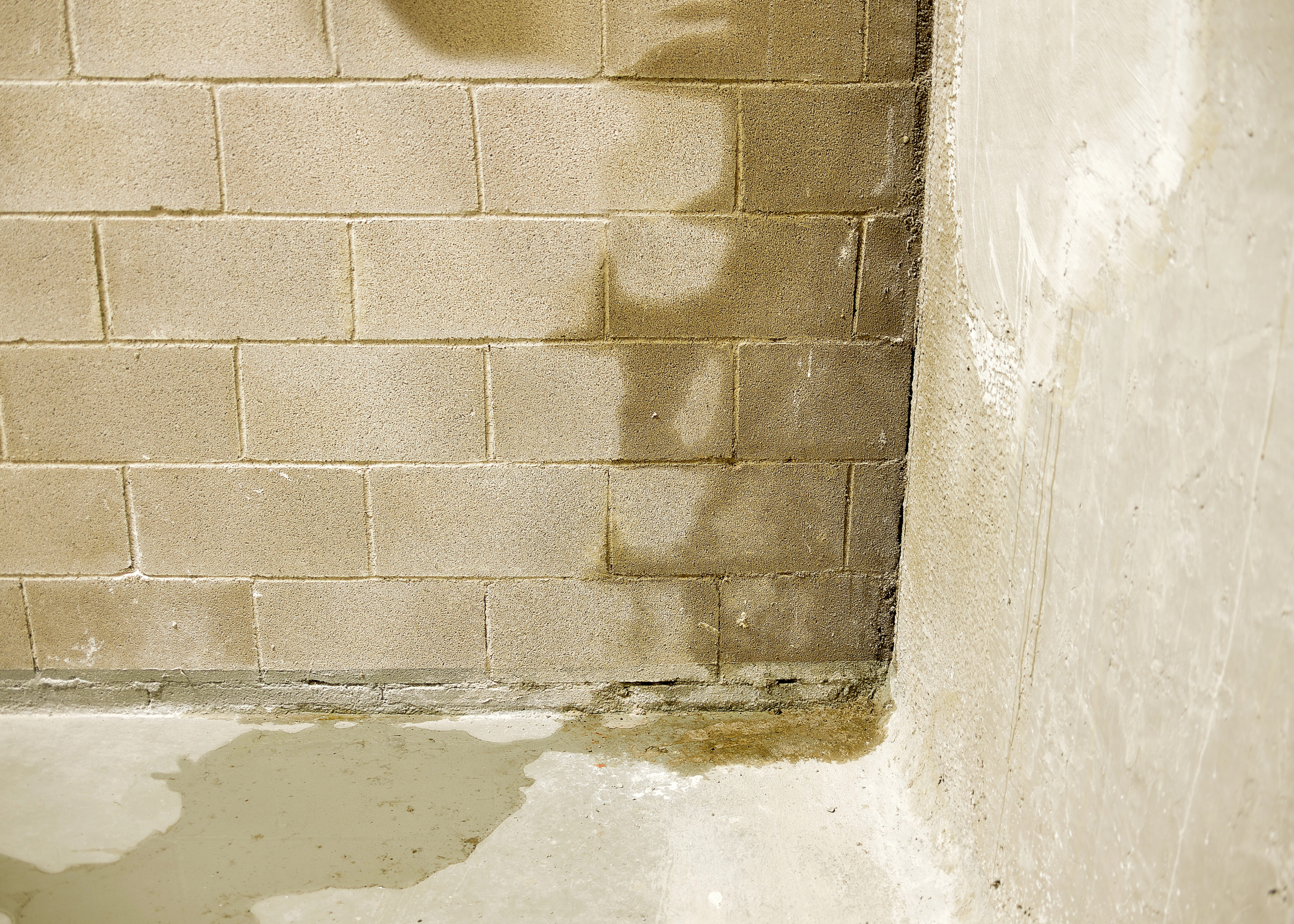 Infiltrations d’eau visibles sur mur de cave