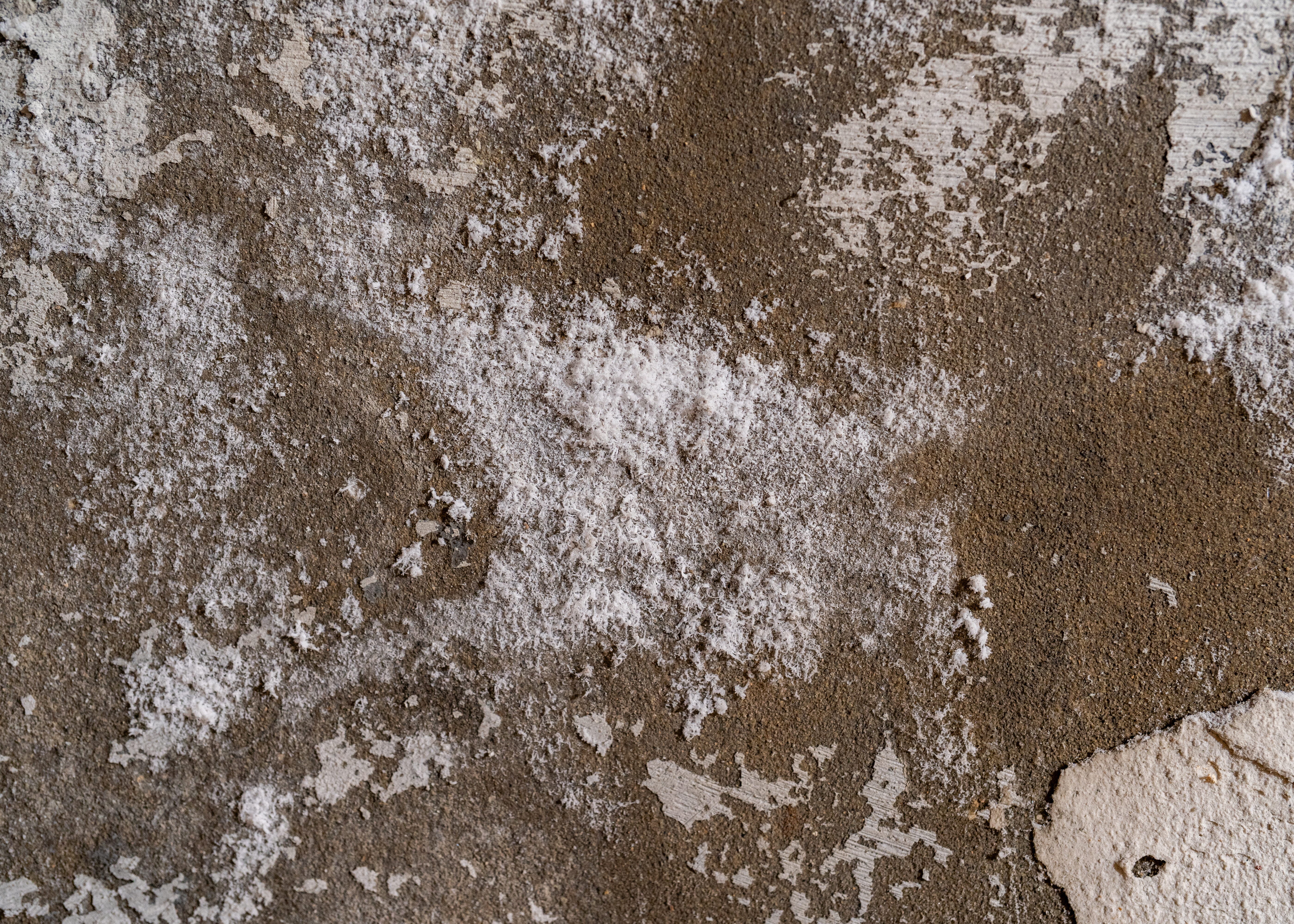 Salpêtre visible sur mur de cave