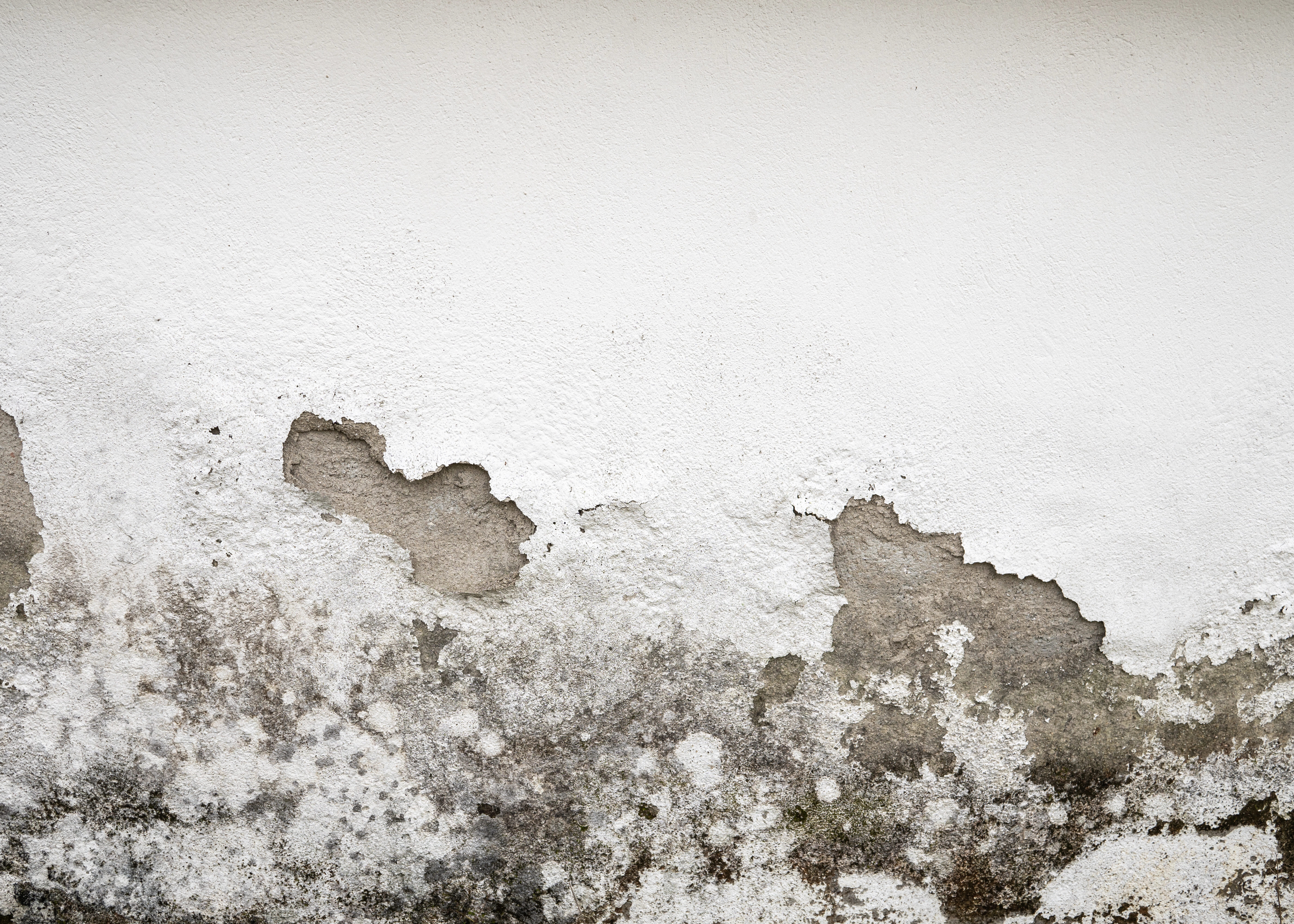 Mur de cave dégradé par l’humidité et moisissures