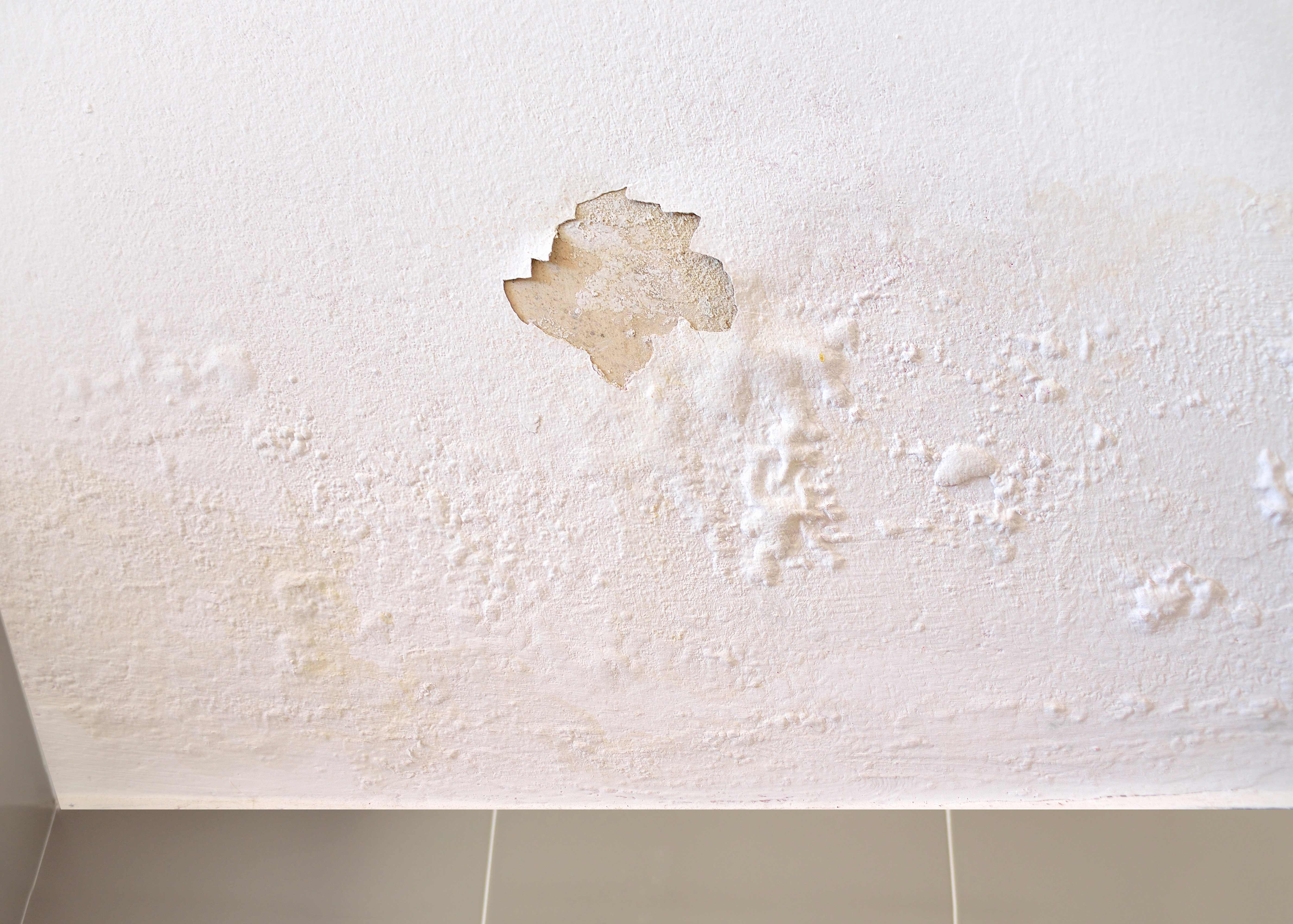 Dégradation du plafond causée par l’humidité en cave