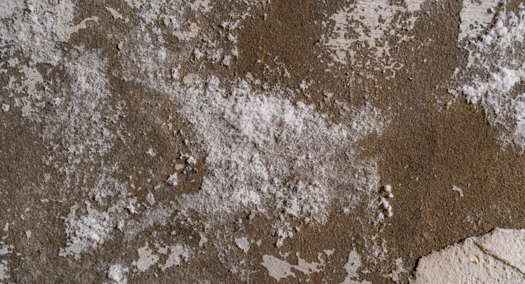 Traitement anti-salpêtre